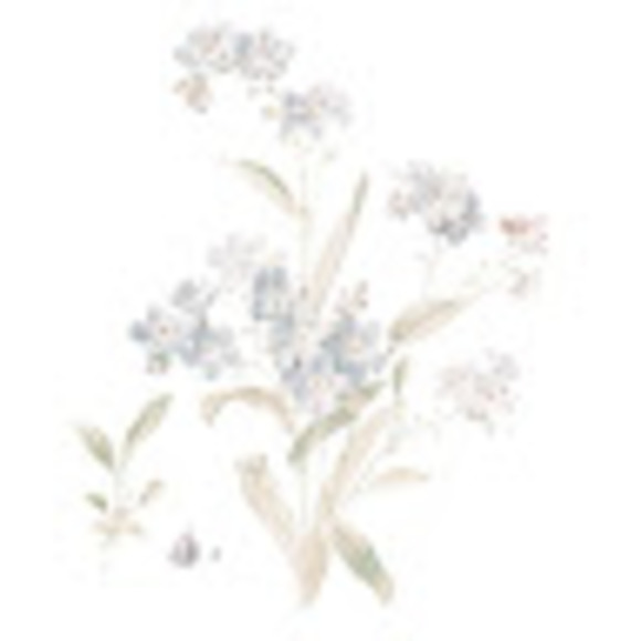 Meet your Posher, Jayde - Picture 1 of 1